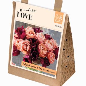 Túlípanar Bouquet Copper & Black 25 stk