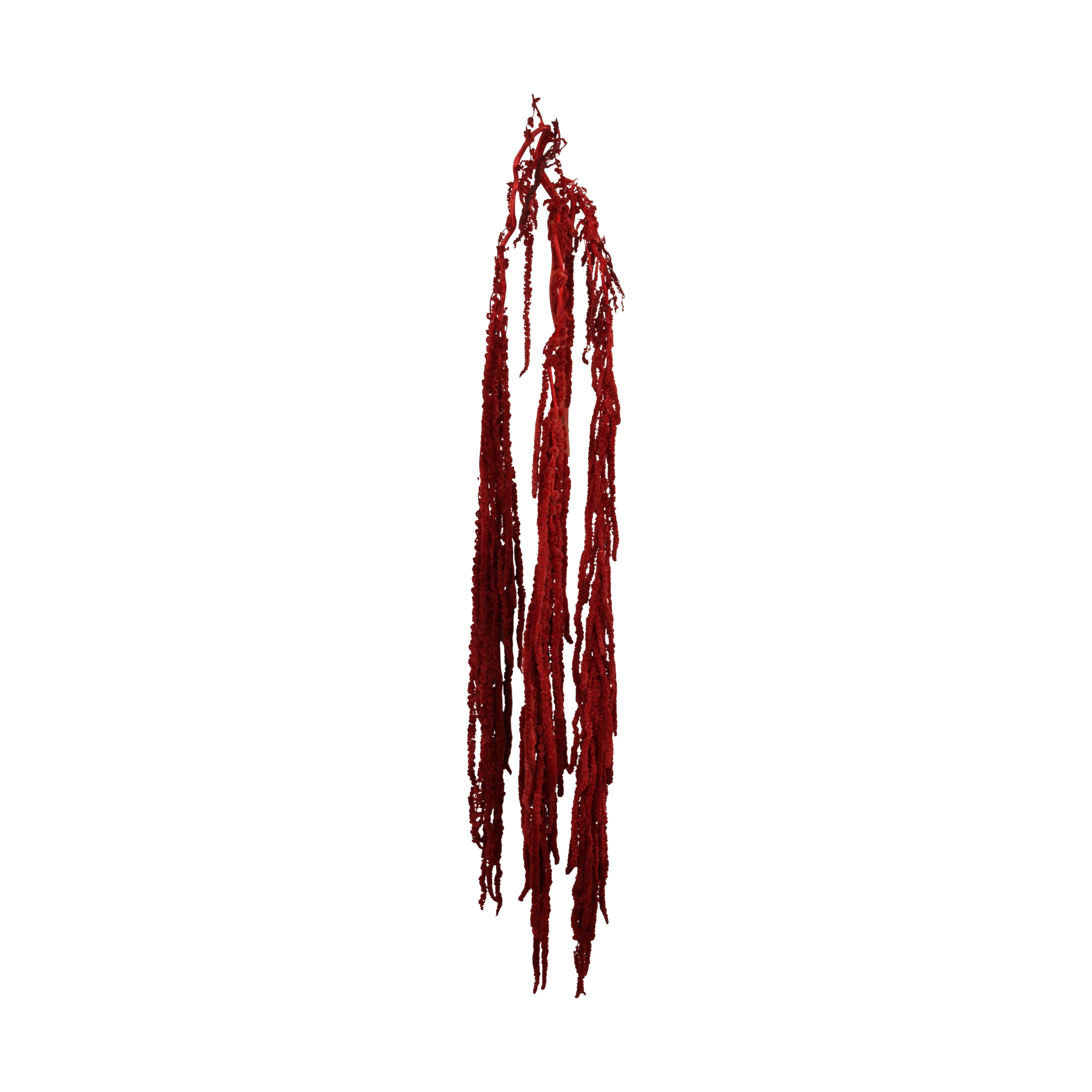 Amaranthus 115 cm - rauð
