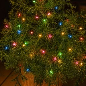 Knirke marglit, 40 LED ljós - batt