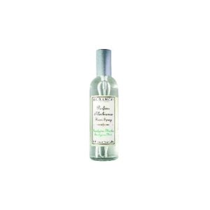 Húsilmur Eucalyptus Mint, 100ml