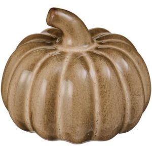 Skraut graskers beige