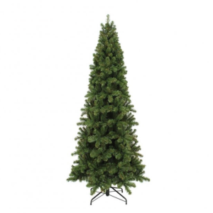 Pencil Pine jólatré
