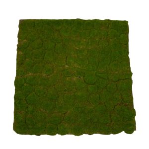 Mosamotta 100 cm