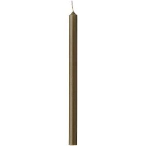 Kerti ólífu grænt 20cm