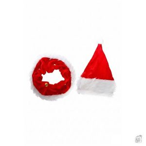 Jólasveinabúningur fyrir dýr