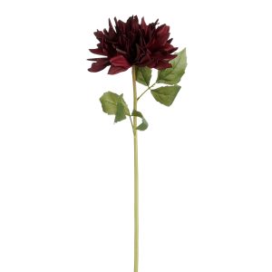 Dahliugrein 61 cm - dökkfjólublátt