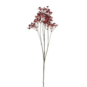 Gypsophyla gervigrein, 70 cm - rauð