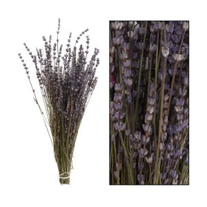 Lavender búnt 100 gr, 40 cm