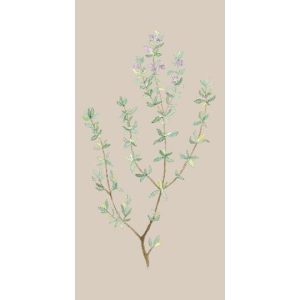 Servíettur 10x20 thyme sprig